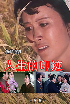 人生的印迹（下集）
