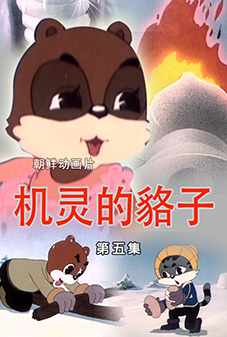 机灵的貉子 (5)