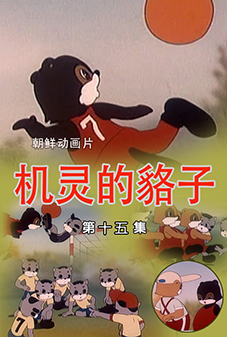 机灵的貉子 (15)