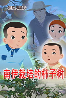 南伊栽培的柿子树