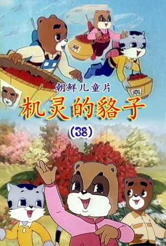 机灵的貉子(38)