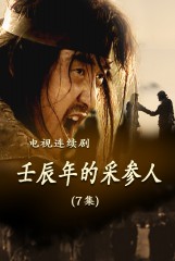 壬辰年的采参人(7)