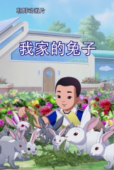 我家的兔子