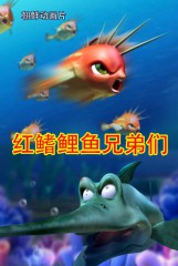 红鳍鲤鱼兄弟们