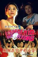 翱翔在空中的小金