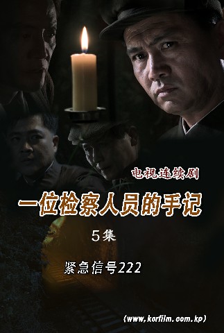 一位检察人员的手记(5)