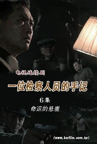 一位检察人员的手记(6)