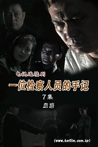 一位检察人员的手记(7)