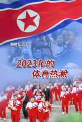 2023年的体育热潮