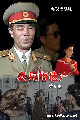 《老兵的遗产》第九集