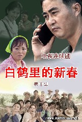 白鹤里的新春     第十集