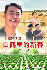 白鹤里的新春 第十二集