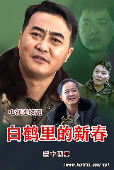 白鹤里的新春 第十四集