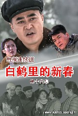 白鹤里的新春 第十六集