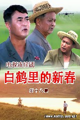 白鹤里的新春 第十八集