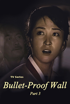 Bullet-Proof Wall3)