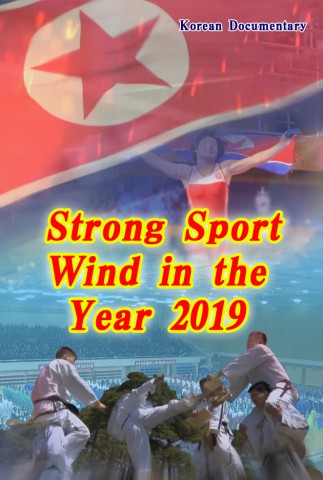 Strong Sport Wind in the Year 2019