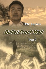 BulletProof Wall(7)