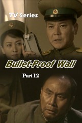 BulletProof Wall(12)
