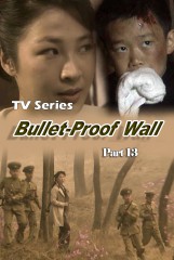 BulletProof Wall(13)