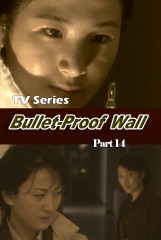 BulletProof Wall(14)