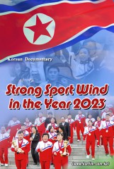 Strong Sport Wind in the Year 2023
