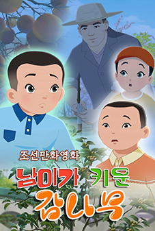 남이가 키운 감나무