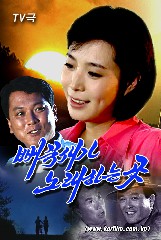 뻐꾹새가 노래하는 곳