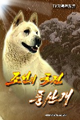 조선의 국견 풍산개