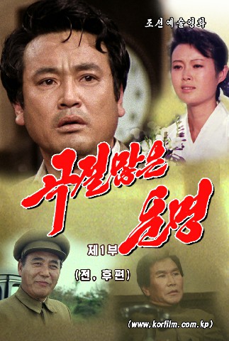 《곡절많은 운명》