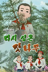 다시 심은 잣나무