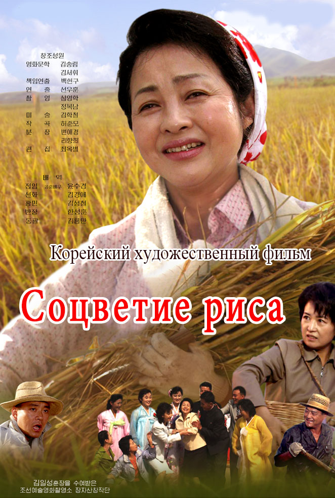 Соцветие риса