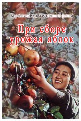 При сборе урожая яблок