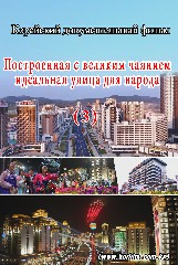 Построенная с великим чаянием идеальная улица для народа(3)